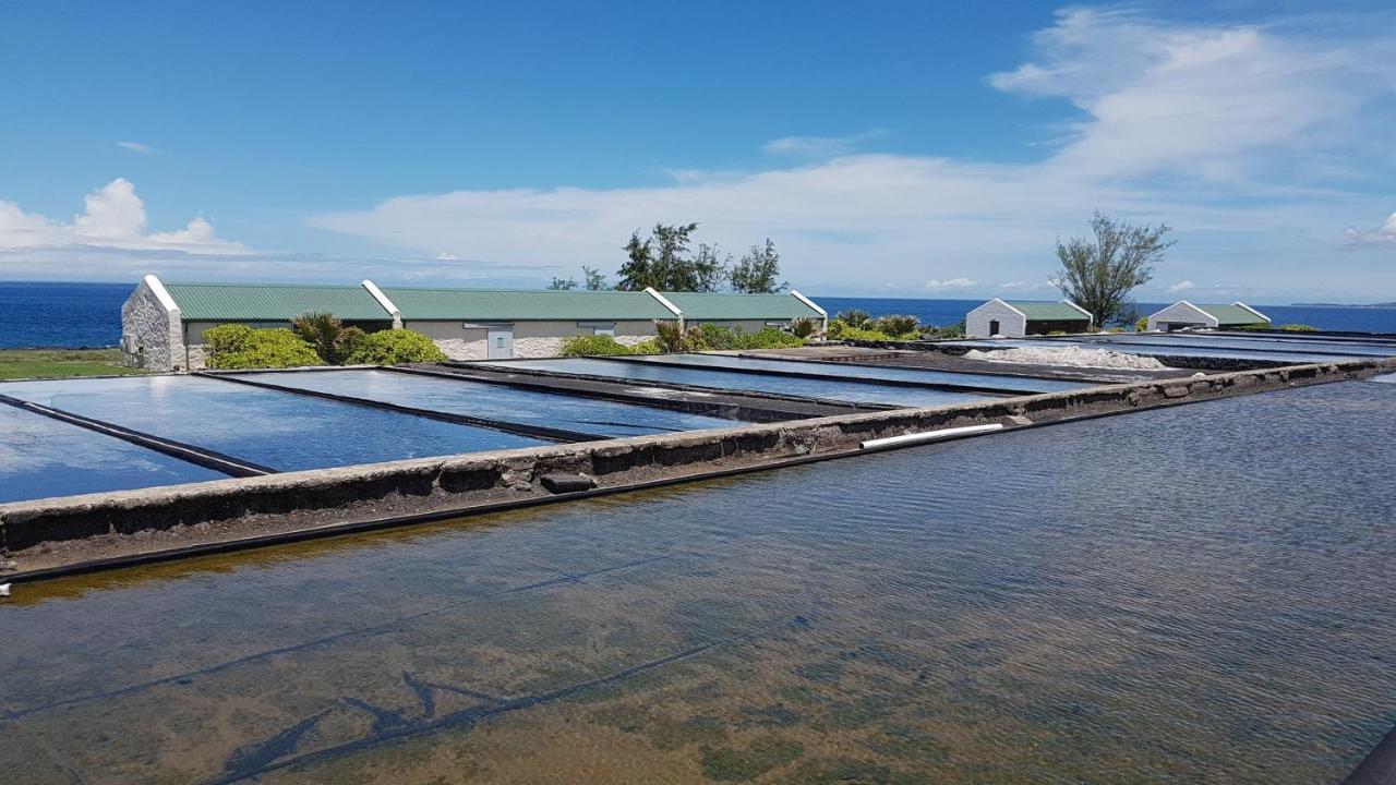 Appartamento La Perle Marine Saint-Leu Esterno foto